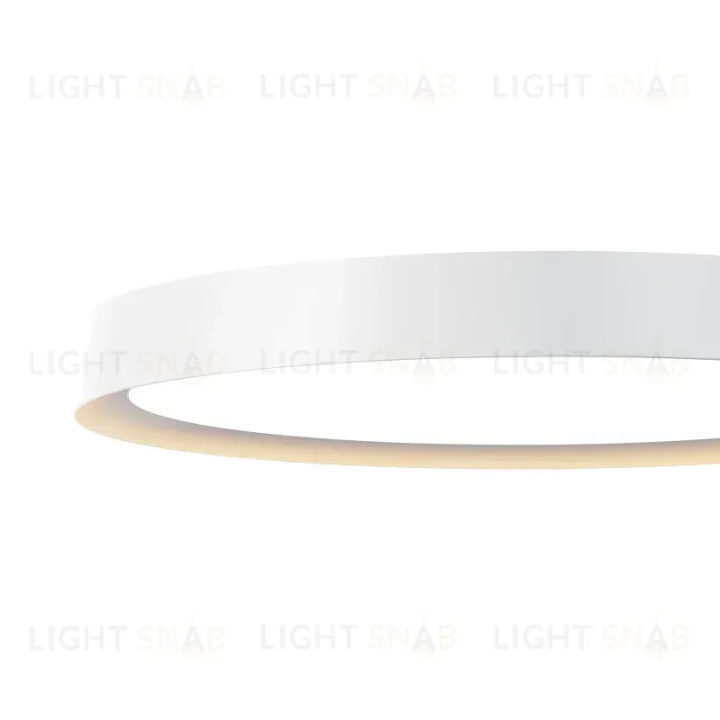 Накладной светильник Maytoni MOD426CL-L43WK 