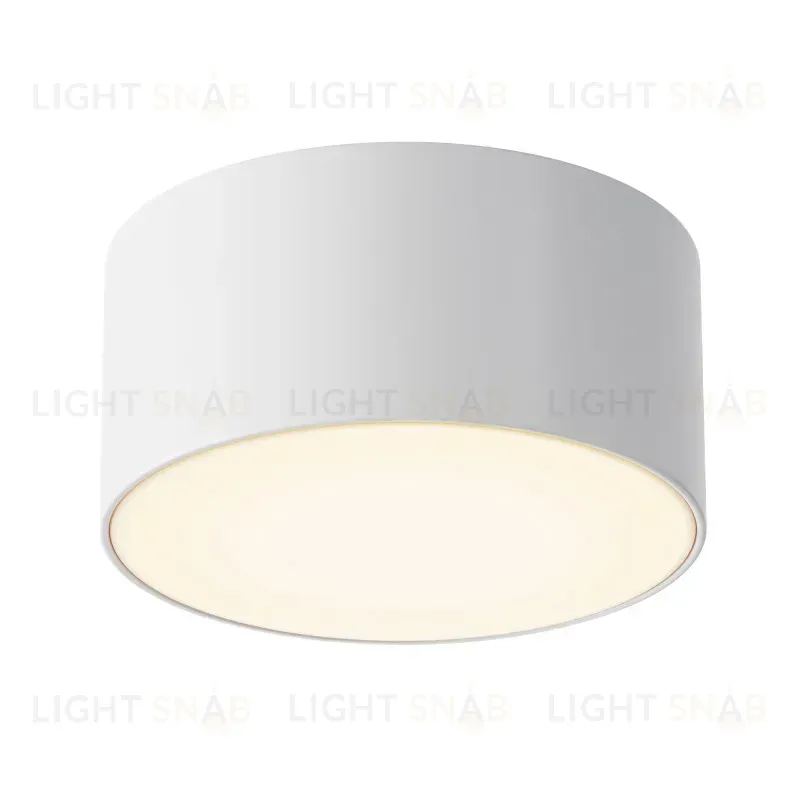 Накладной уличный светильник Maytoni O430CL-L15W3K O430CL-L15W3K