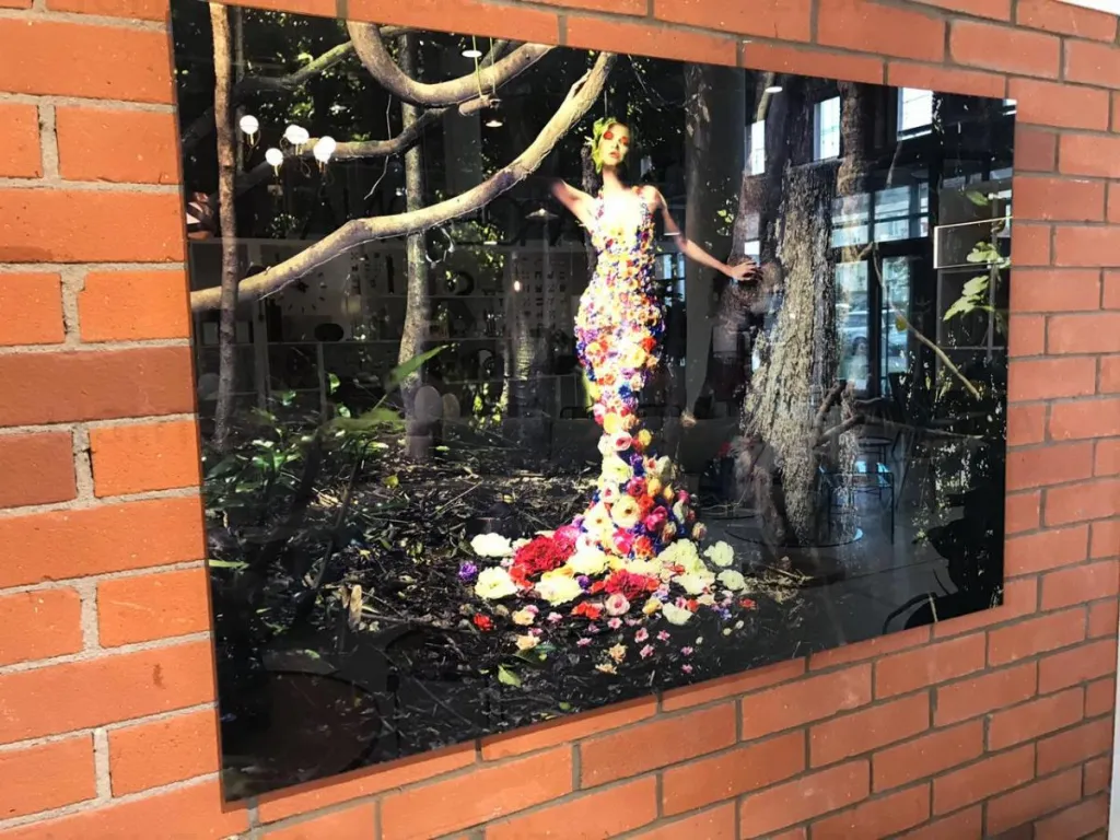 Фотография Eden 062972