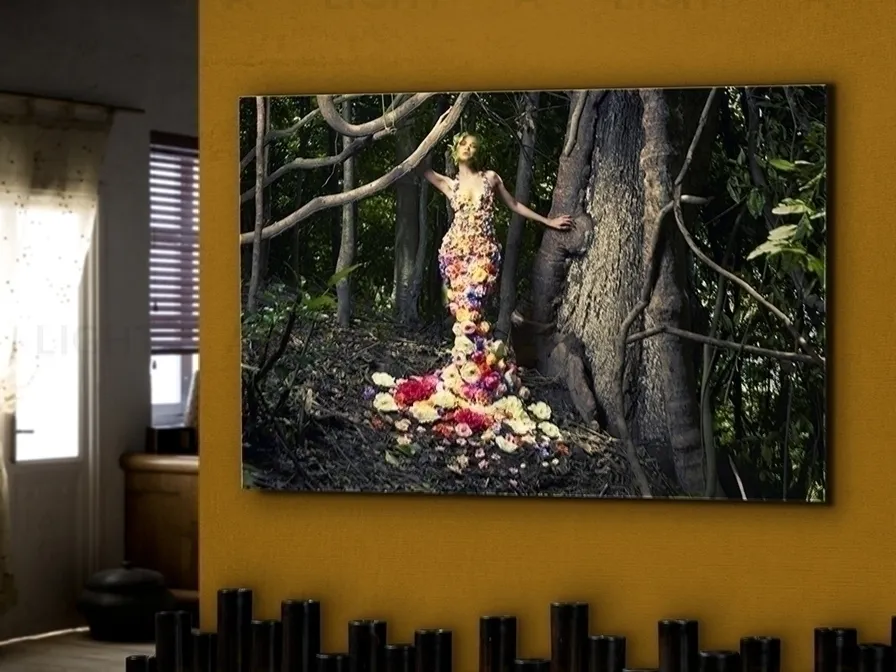 Фотография Eden 062972