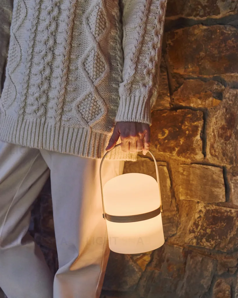 Настольная переносная лампа Lame 047674