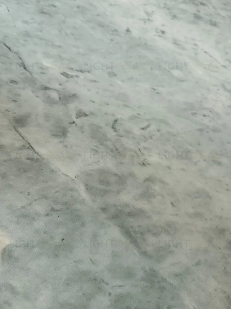 Стол Zen Zen Table