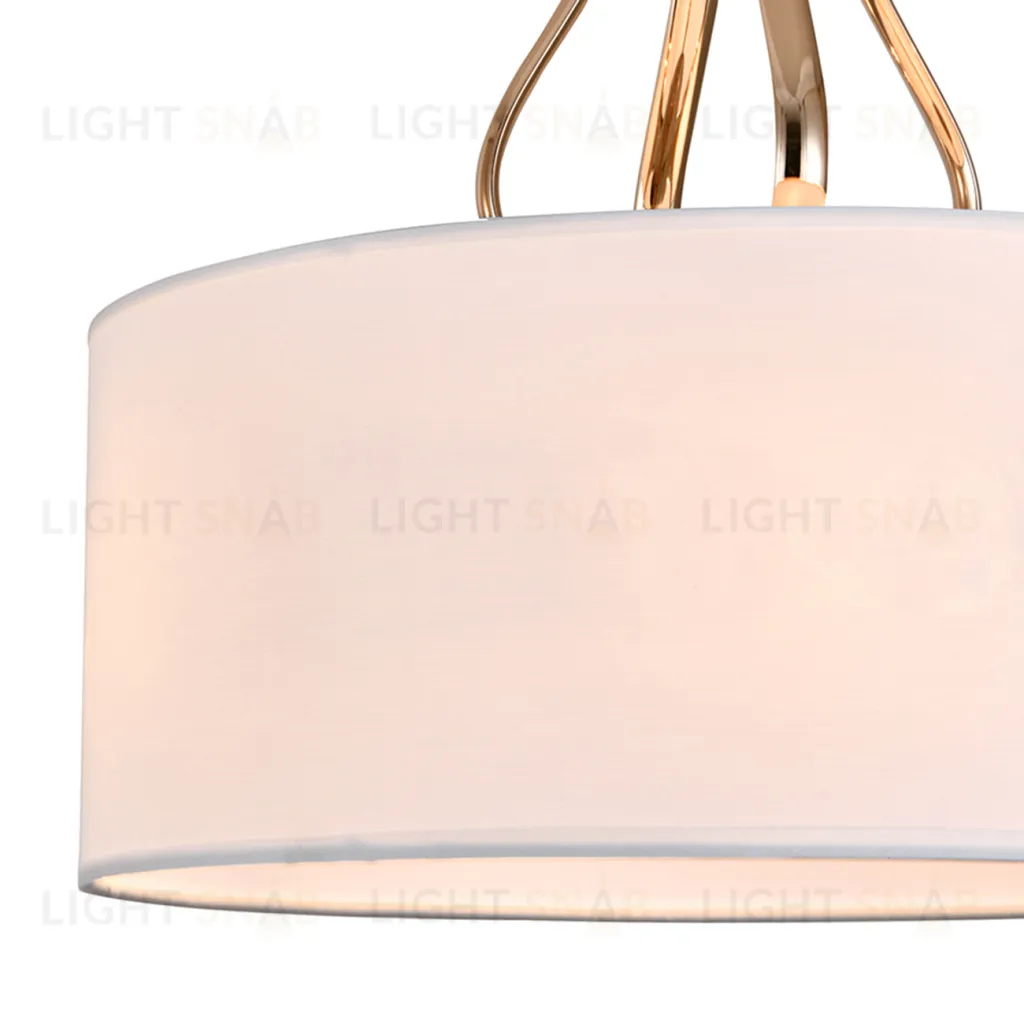 13039/4R Gold V000335