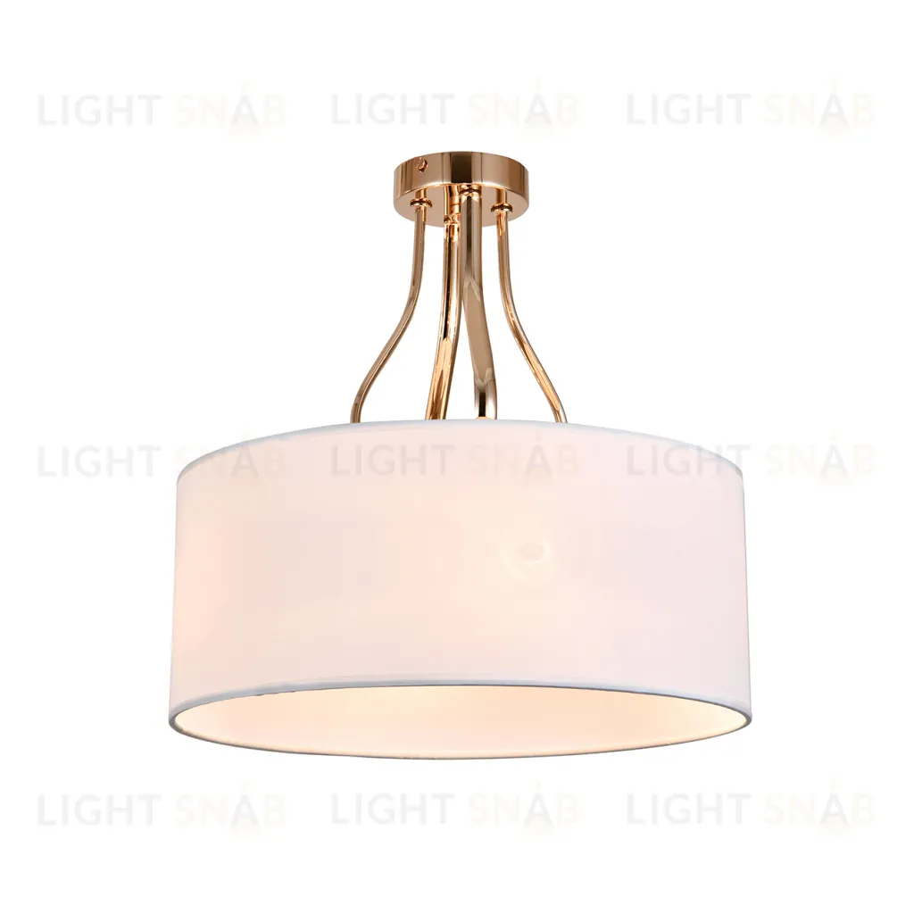 13039/4R Gold V000335