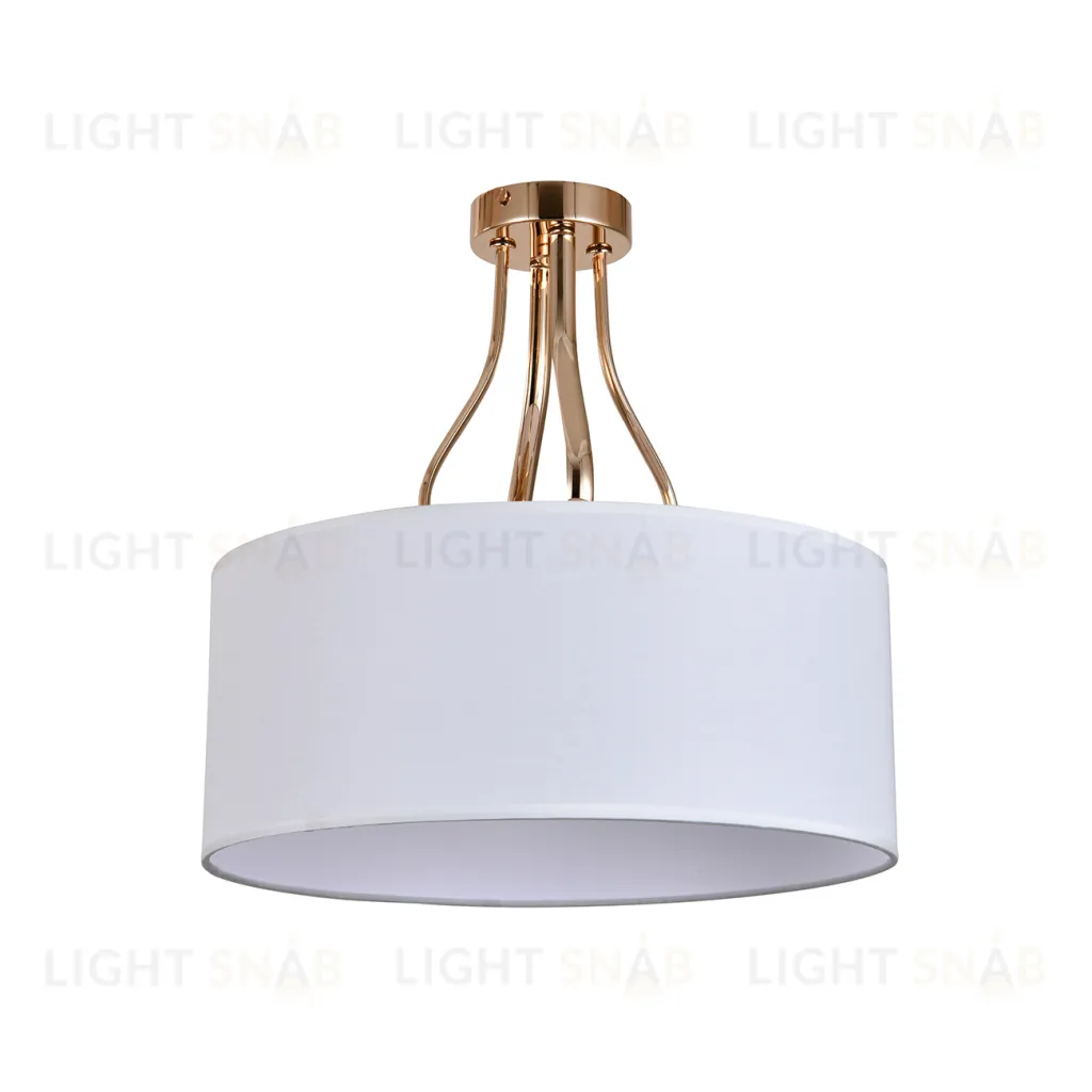 13039/4R Gold V000335