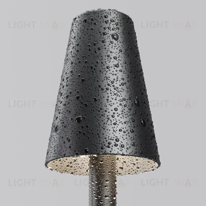 Садово-парковый светильник Maytoni O504FL-L1B3K 