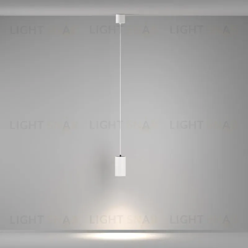 Подвесной светильник Maytoni P100PL-20W4K-W 