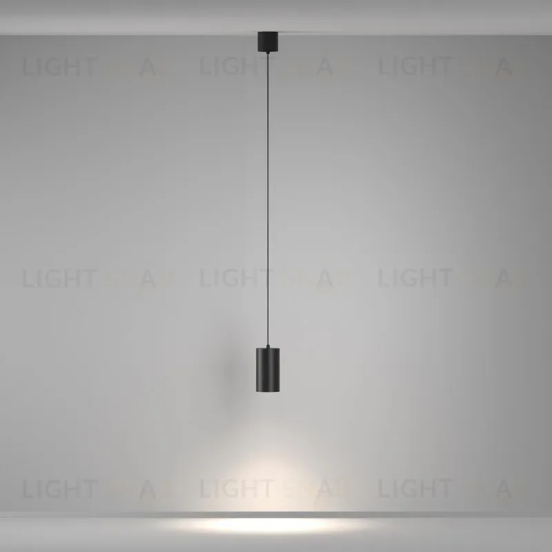 Подвесной светильник Maytoni P100PL-20W4K-B 