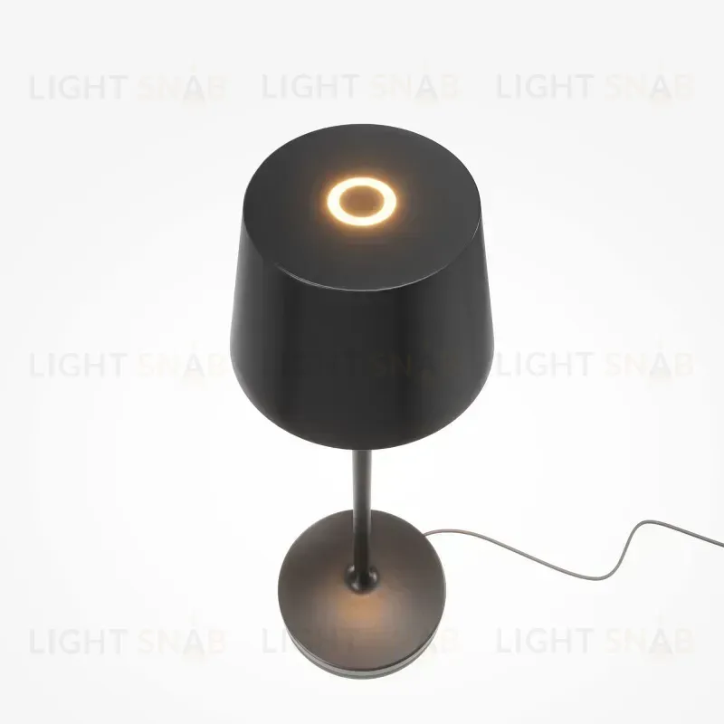 Maytoni MOD494RL-L1BK 