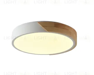 Потолочный светильник белый LED 24Вт D23см Zortes ALBERRO ZRS.01289.24 ZRS.01289.24