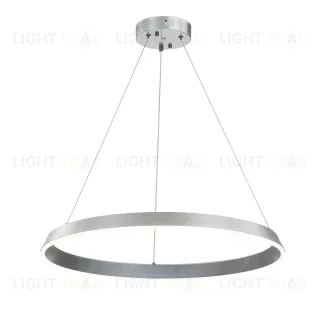 14019/1P Silver V000091L