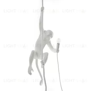 Светильник The Monkey Lamp Ceiling Version 16998