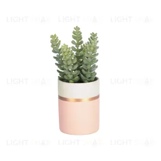 Flower Искусственное растение Sedum lucidum в розовом керамическом горшке 089921