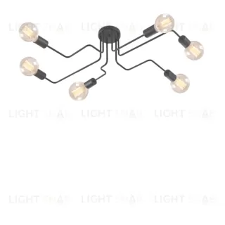 Потолочный дизайнерский светильник Spider  (6 плафонов) LSR8137V1