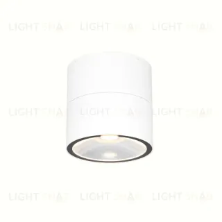 Накладной уличный светильник Maytoni O310CL-L12W3K O310CL-L12W3K