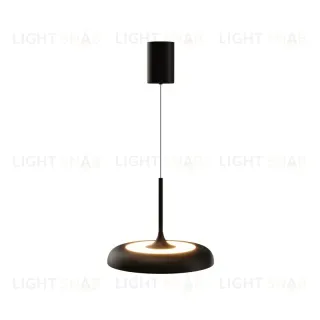 Подвесной светильник Maytoni MOD189PL-L39B3K 