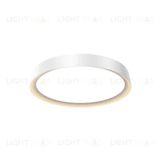 Накладной светильник Maytoni MOD426CL-L32WK 