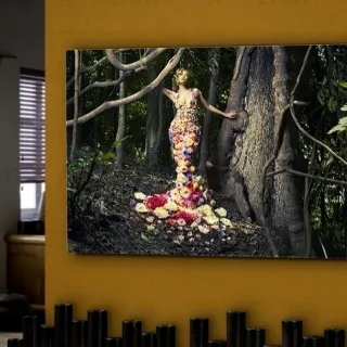 Фотография Eden 062972