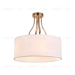 13039/4R Gold V000335