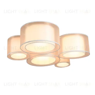 Светильник потолочный Moderli V11398-5C Massa УТ000040210