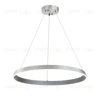 14019/1P Silver V000091L