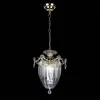 Подвесной светильник Lightstar Schon 790032 790032 - 1