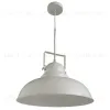 Подвесной светильник Arte Lamp Martin A5213SP-1WG A5213SP-1WG - 1