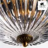 Потолочный светильник Arte Lamp Schelenberg A4410PL-3SR A4410PL-3SR - 3