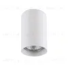 Потолочный светильник Lightstar Rullo 214436 214436 - 1