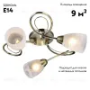 Потолочная люстра Lussole Lgo LSP-0187 LSP-0187 - 2