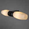 Подсветка для зеркал Arte Lamp Aqua A1209AP-2CC A1209AP-2CC - 2