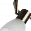 Спот Arte Lamp Parry A5062PL-3AB A5062PL-3AB - 3