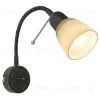 Спот Arte Lamp Lettura A7009AP-1BR A7009AP-1BR - 1