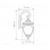 Уличный настенный светильник Elektrostandard Andromeda D (GLYF-8024D) 4690389042676 4690389042676 - 3