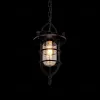 Подвесной светильник LOFT IT Warehouse Loft1141 Loft1141 - 2
