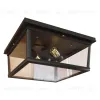 Потолочный светильник LOFT IT Modern filament Loft3110-2C Loft3110-2C - 1