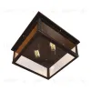 Потолочный светильник LOFT IT Modern filament Loft3110-2C Loft3110-2C - 3