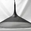 Подвесной светильник Lussole Loft LSP-9813 LSP-9813 - 2