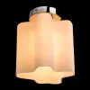 Потолочный светильник Arte Lamp 18 A3479PL-1CC A3479PL-1CC - 2