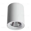 Потолочный светодиодный светильник Arte Lamp Facile A5118PL-1WH A5118PL-1WH - 1