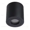 Потолочный светильник Divinare Galopin 1460/04 PL-1 1460/04 PL-1 - 1