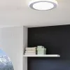 Потолочный светодиодный светильник Eglo Led Carpi 95282 95282 - 2
