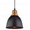 Подвесной светильник Arte Lamp Eurica A4245SP-1BK A4245SP-1BK - 3