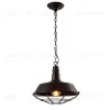 Подвесной светильник Arte Lamp Ferrico A9183SP-1BK A9183SP-1BK - 1