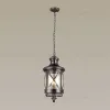 Уличный подвесной светильник Odeon Light Sation 4045/3 4045/3 - 2
