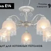 Потолочная люстра Omnilux Ferraro OML-54907-05 OML-54907-05 - 2