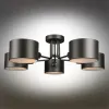 Потолочная люстра Omnilux Lisera OML-54507-05 OML-54507-05 - 3