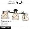 Потолочная люстра Citilux Дрезден CL409232 CL409232 - 2