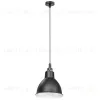 Подвесной светильник Lightstar Loft 765017 765017 - 1