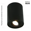 Потолочный светильник Arte Lamp A5644PL-1BK A5644PL-1BK - 2